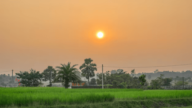  Sahyog Asha Trust
